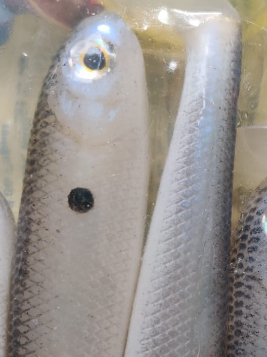 Leurre souple Shadalicious Strike King 14 cm / 5.5"