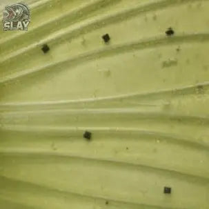 Queue pour Balam 245 Madness Slay