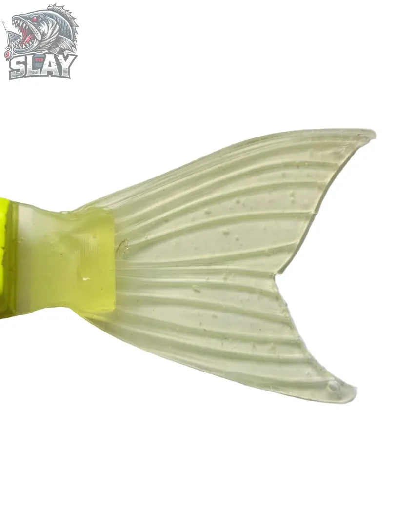 Queue pour Balam 245 Madness Slay