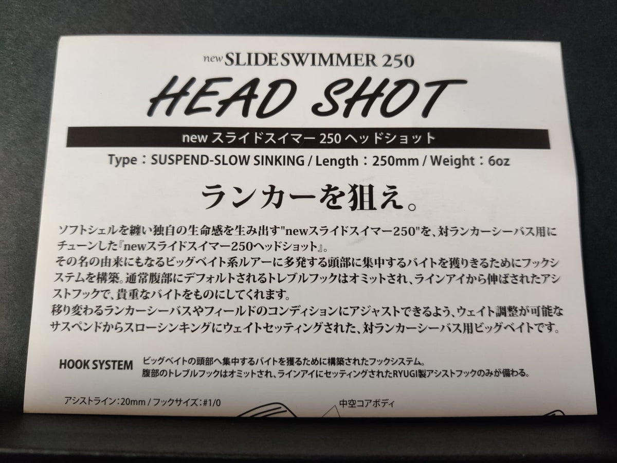 Slide swimmer 250 Head shot Slay