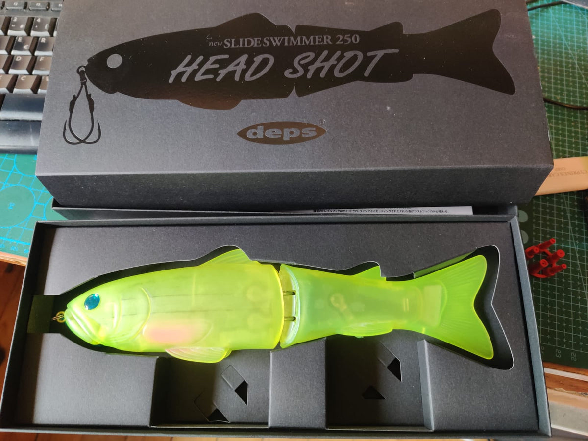 Slide swimmer 250 Head shot Slay