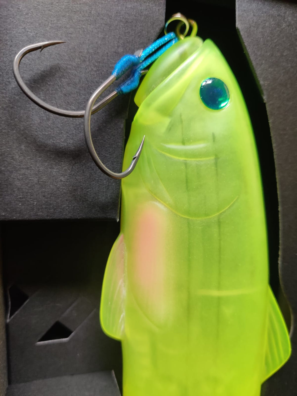Slide swimmer 250 Head shot Slay