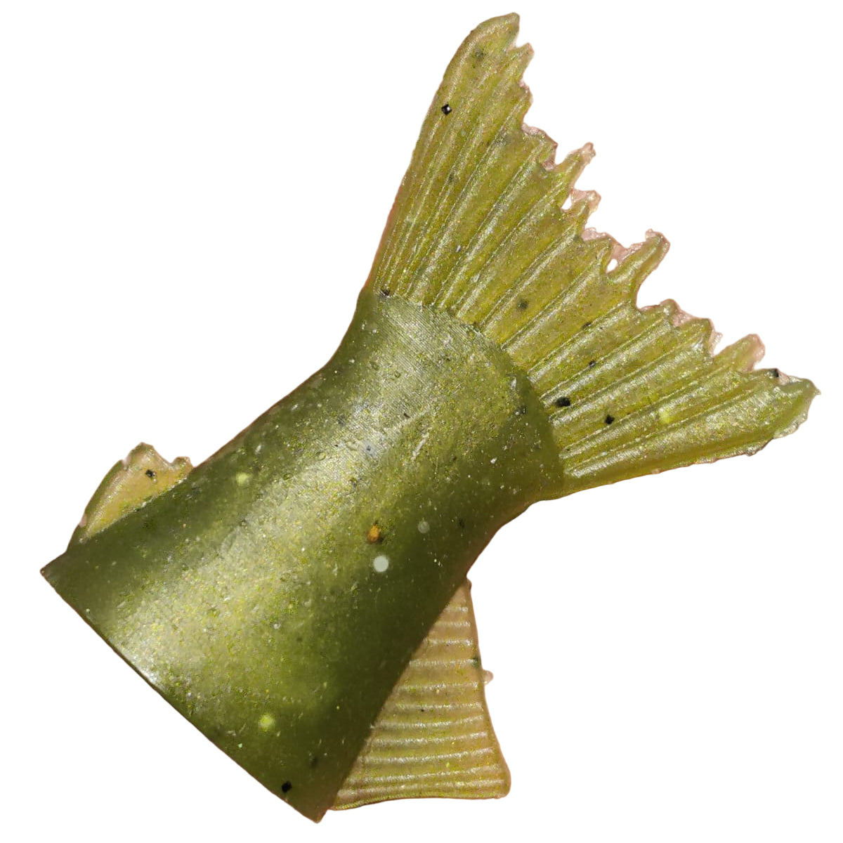 Queue de rechange BBZ 8" SPRO by SLAY Slay