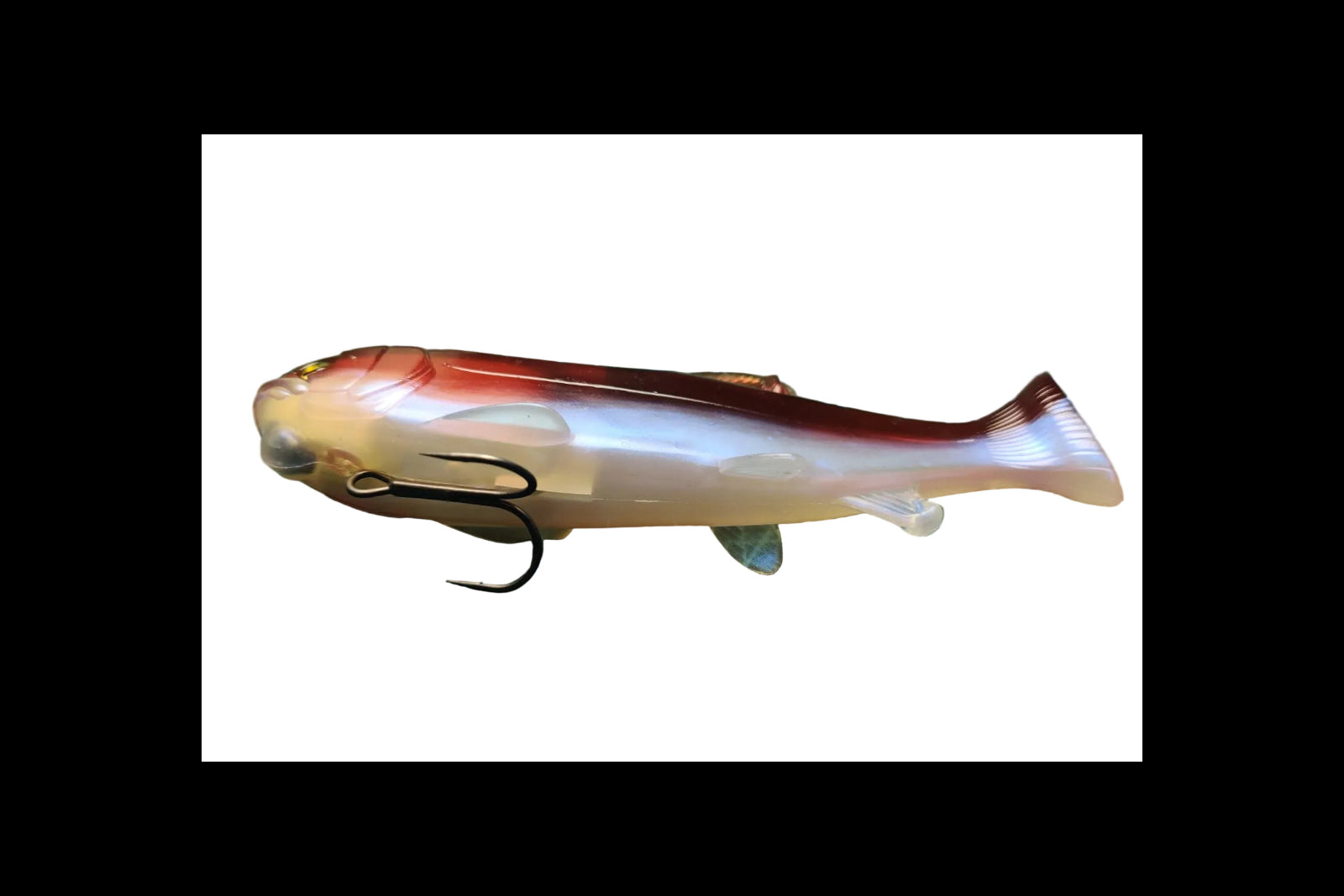 Osakana Swimmer 125 Raid Japan