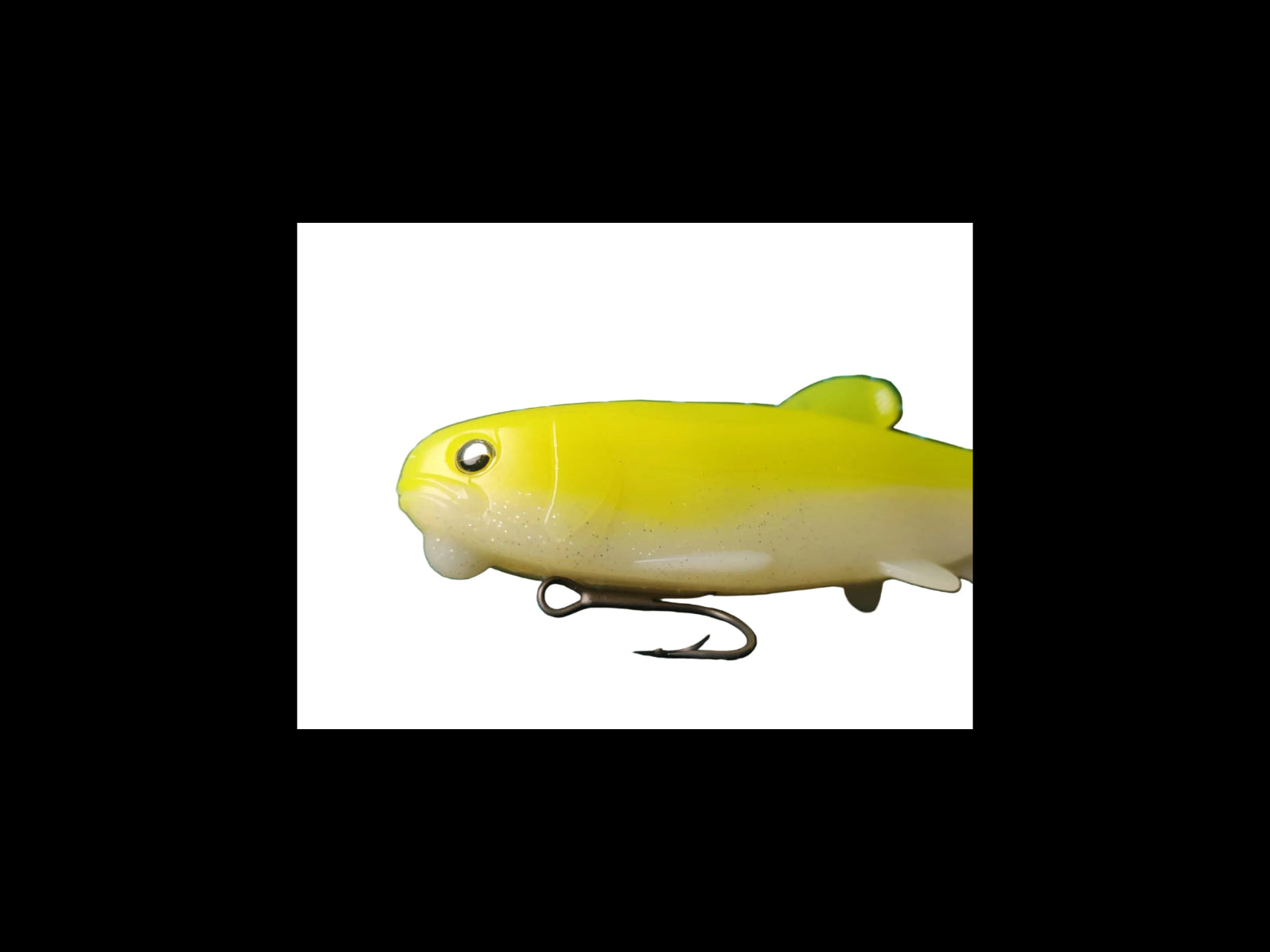 Osakana Swimmer 125 Raid Japan