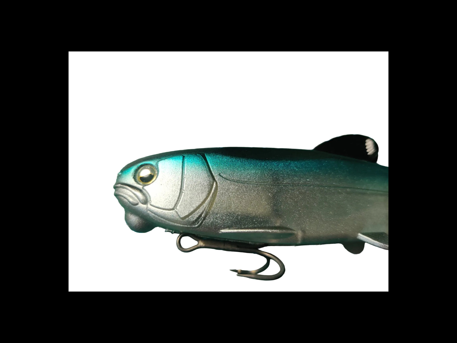 Osakana Swimmer 125 Raid Japan