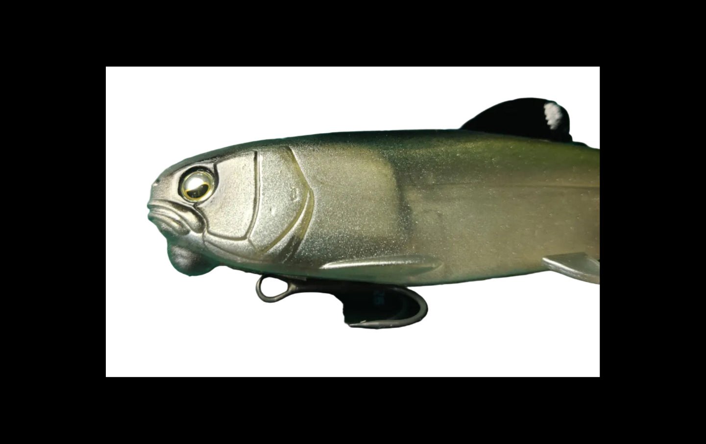 Osakana Swimmer 125 Raid Japan